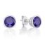 Picture of FEBRUARY  , 5mm BEZEL STUDS